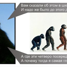 Sergey, ������, 49 ���