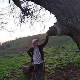 �����, �����, 52 ����