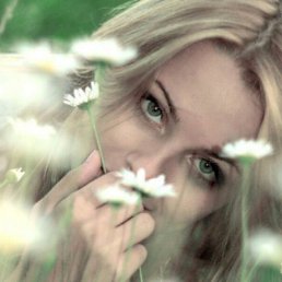 ���� ������, �����, 41 ��� - ��������� 10 ������ 2023