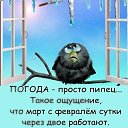 ���� ������, �������, 53 ���� - ��������� 15 ����� 2023 � ������ ���� ����������