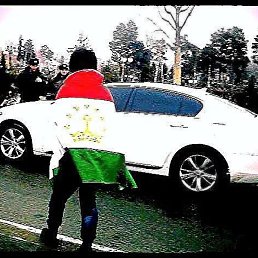 ���������, ������, 37 ���