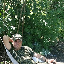 �������, �����, 41 ���