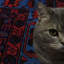 Umidjon, �����, 23 ����