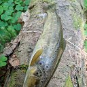 ���� Michail, ������, 42 ���� - ��������� 7 ������� 2023 � ������ ���� ����������