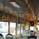 ���� ������, �����������, 46 ��� - ��������� 12 ������� 2023