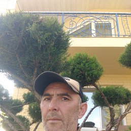 ���� ������, ������, 45 ��� - ��������� 12 ���� 2023