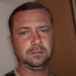 �����, ������, 41 ���