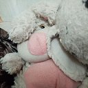 ���� �����, ������ ��������, 42 ���� - ��������� 19 ��� 2023 � ������ ���� ����������