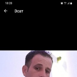 Catyy, ������, 40 ���