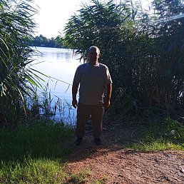 ����, ���������, 51 ���