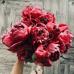 �����, ����������, 30 ���