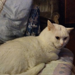 ���� �������, ������������, 53 ���� - ��������� 16 ���� 2023