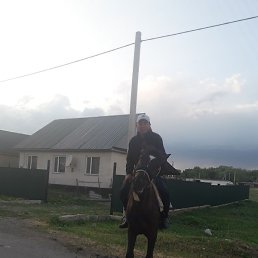 �����, ���������, 35 ���