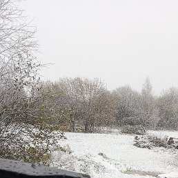 Xxxxx, �������, 36 ���