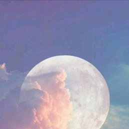 ������, ������, 21 ���