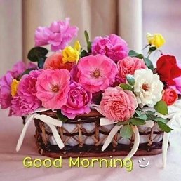 ���� Hanna, ��������, 40 ��� - ��������� 22 ������� 2023