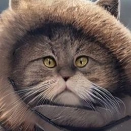 ���� ����, ����, 46 ��� - ��������� 26 ���� 2023