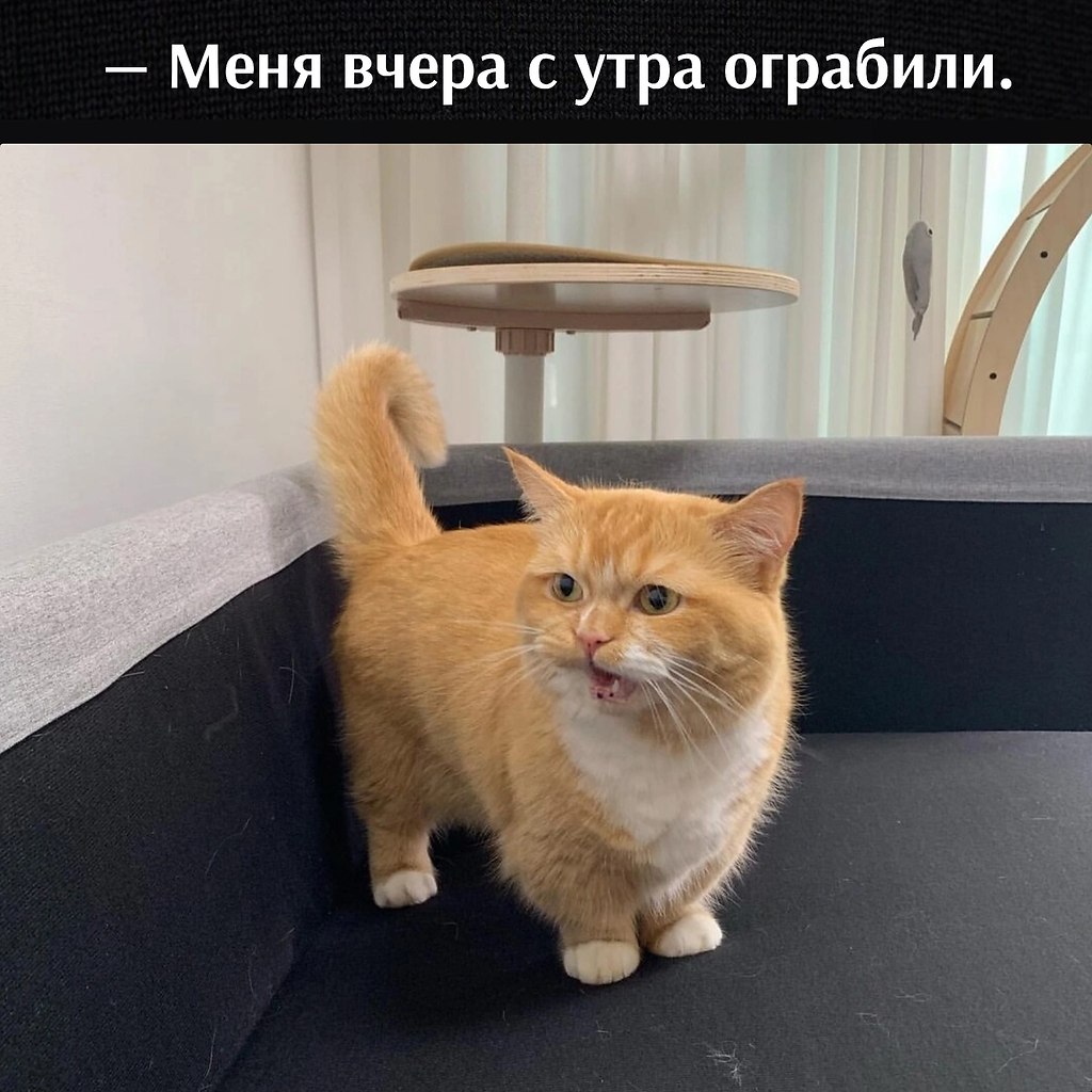       - 8  2023  12:47 - 2