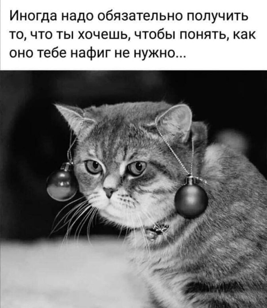 ***Victoria Viktorovna*** - 30  2023  05:15