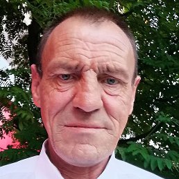 ��������, ����, 54 ����