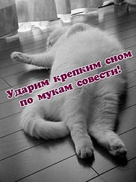 Всем НОЧИ!