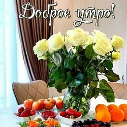 ���� ���, ������, 49 ��� - ��������� 4 ����� 2023