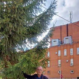 ����, ������, 56 ���