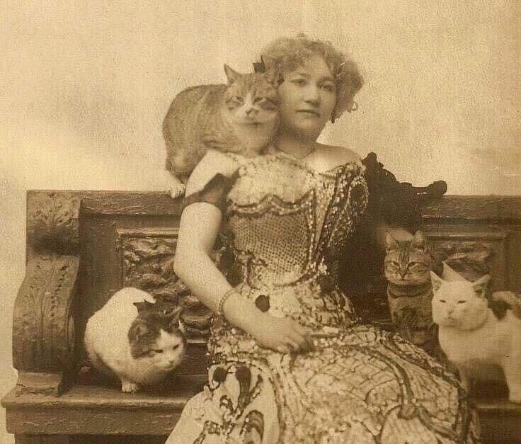   1890    ,    