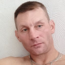 ���������, �����-���������, 41 ���