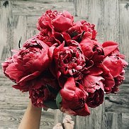 �����, 29 ���, ����������