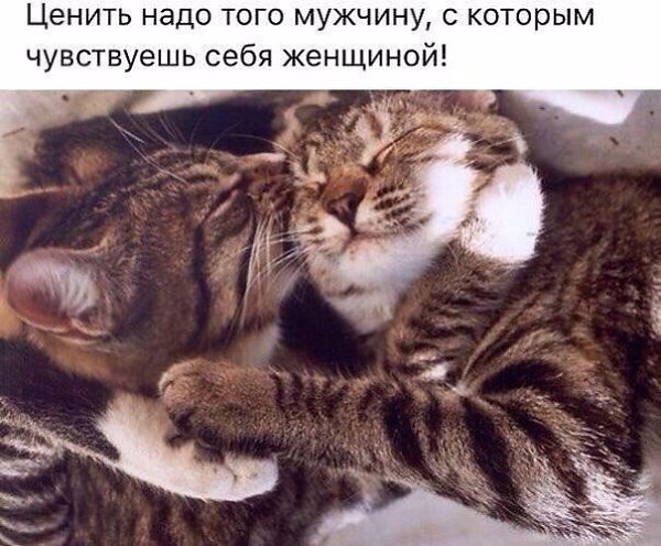   - 22  2023  19:50
