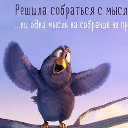 ���� ���������, ����������, 40 ��� - ��������� 14 �������� 2023