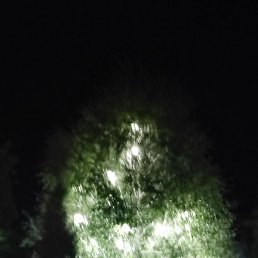 , , 32 