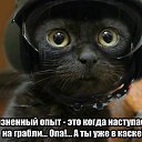 ���� ���������, ����, 58 ��� - ��������� 3 ������ 2023 � ������ ���� ����������