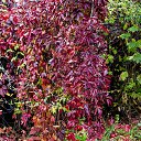 ���� ��������, �����������, 59 ��� - ��������� 30 �������� 2023 � ������ �������