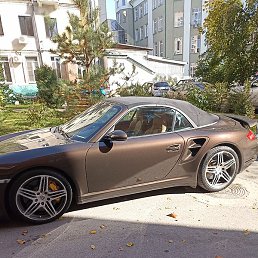 ������, ������, 37 ���