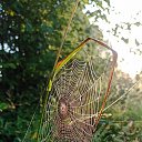 ���� �����, ������, 63 ���� - ��������� 28 ���� 2023 � ������ ���� ������ ���....�