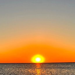 ���� ����, ���������, 40 ��� - ��������� 5 ������� 2023