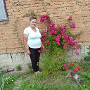 ���� �����, �������, 70 ��� - ��������� 26 ���� 2023 � ������ ���� ����������