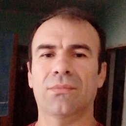 �����, ������, 43 ����