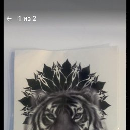 ����, �����, 44 ����