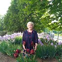 ���� Luda, ��������� - ��������� 29 ��� 2023 � ������ ������ ��������