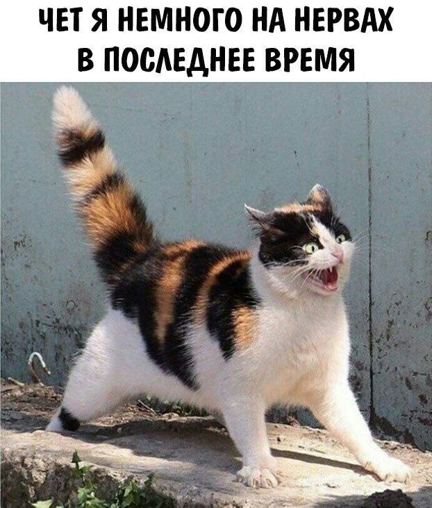    - 1  2023  13:31