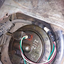 ����, ������, 49 ���