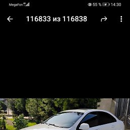 ���, �������, 49 ���