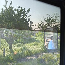 ����, �����������, 36 ���