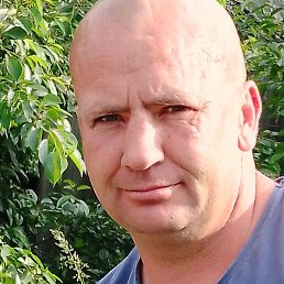 ������, ������-��-����, 40 ���