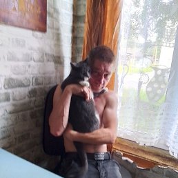 �������, �����-���������, 40 ���