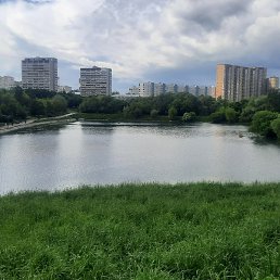 ������, ������, 43 ����