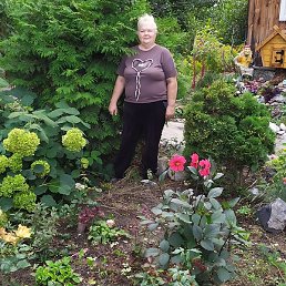 ��������, ������, 64 ����